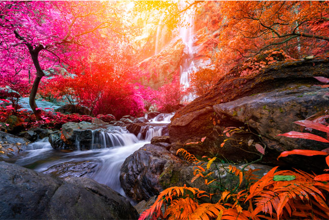 Fotomurales de vinilos cascadas khlong lan tailandia